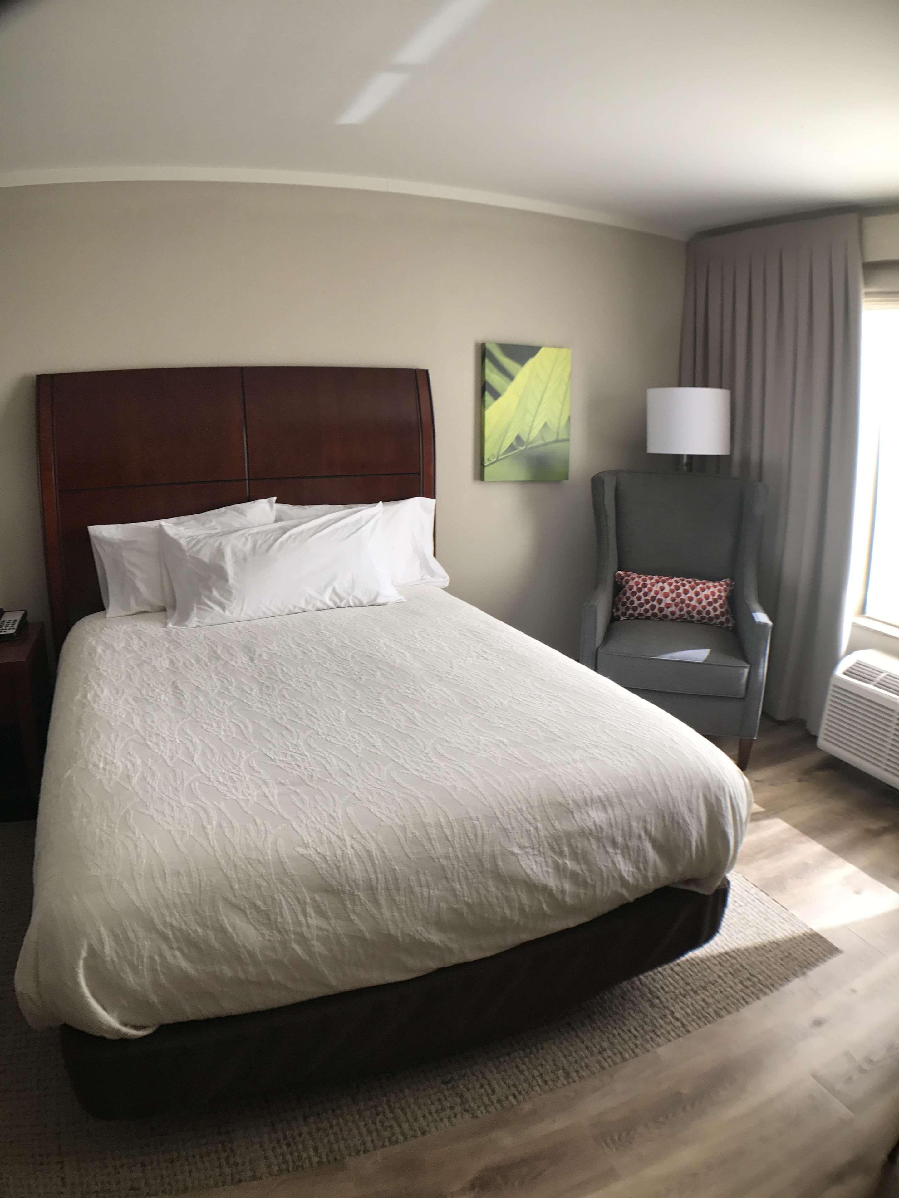 Hilton Garden Inn Bowling Green Esterno foto